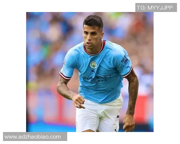 坎塞洛在球队中的角色转变与未来发展潜力分析